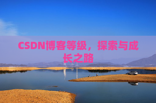 CSDN博客等级，探索与成长之路